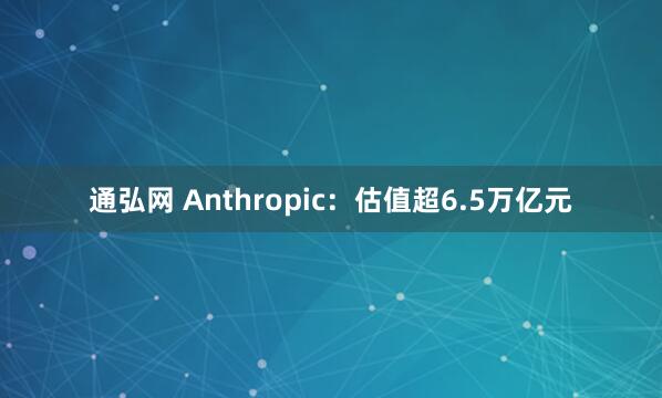 通弘网 Anthropic：估值超6.5万亿元