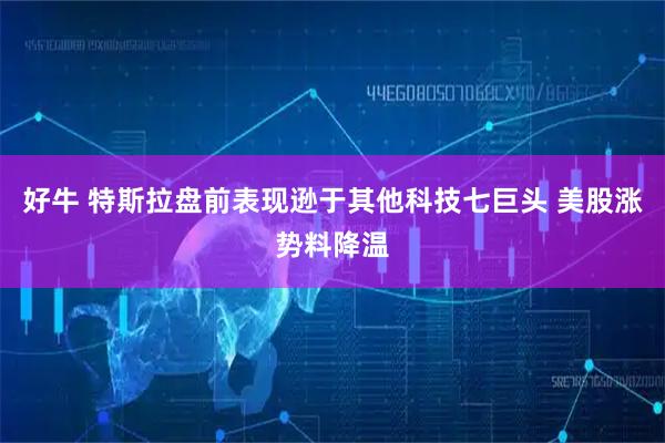 好牛 特斯拉盘前表现逊于其他科技七巨头 美股涨势料降温