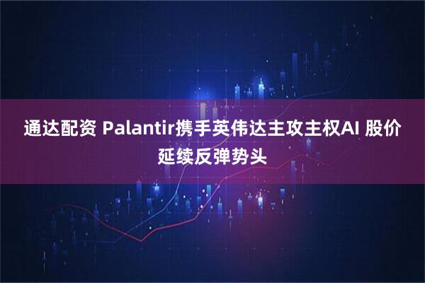 通达配资 Palantir携手英伟达主攻主权AI 股价延续反弹势头